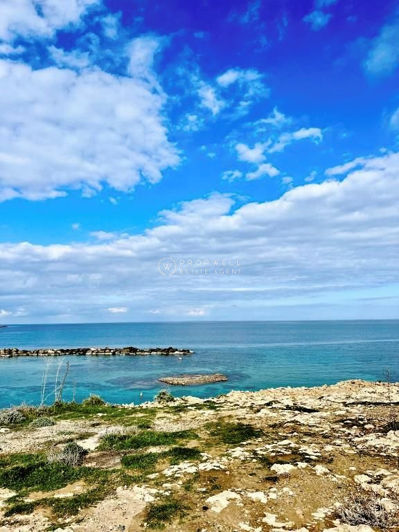 Image No.13-1 Bed Apartment for sale