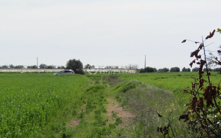 Image No.2-Terre à vendre à Mazotos