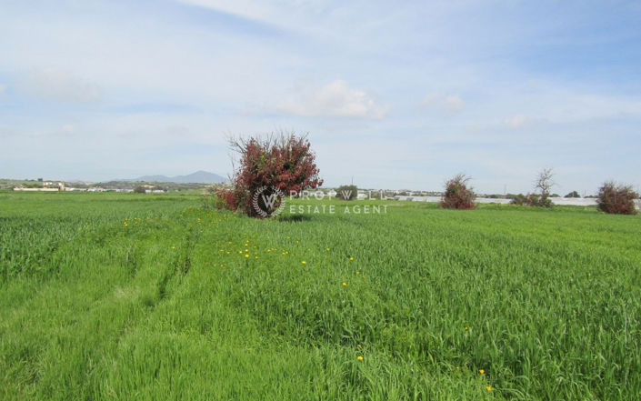 Image No.3-Terre à vendre à Mazotos