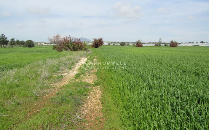 Image No.4-Terre à vendre à Mazotos