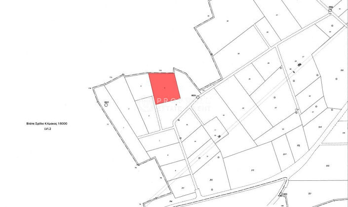 Image No.6-Terre à vendre à Mazotos