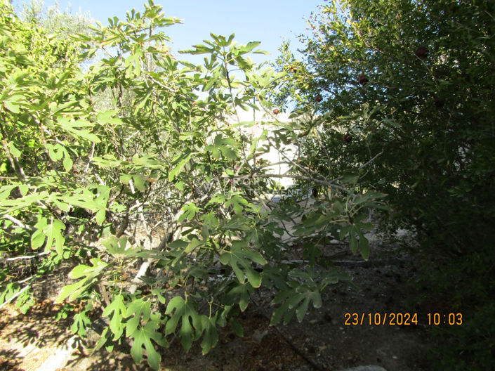 Image No.7-Terrain à vendre à Nicosie