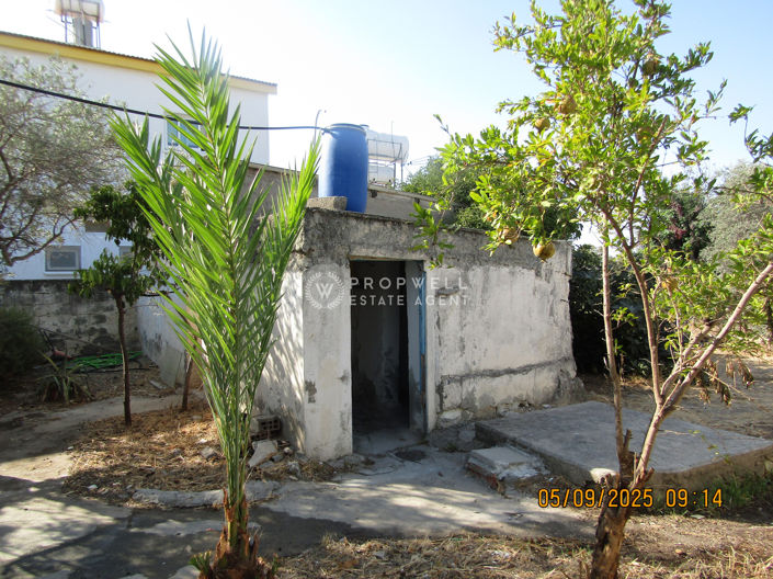 Image No.5-Maison de 1 chambre à vendre à Alethriko