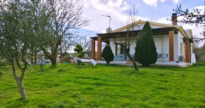 Image No.1-3 Bed House for sale