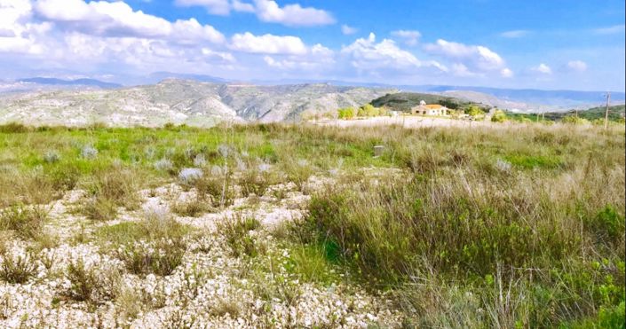 Image No.21-3 Bed House for sale