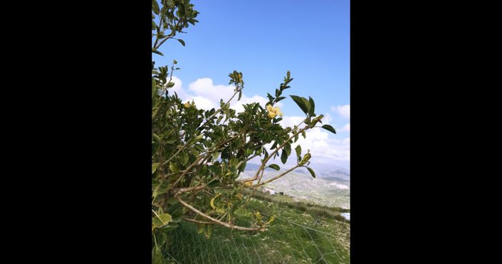 Image No.23-3 Bed House for sale