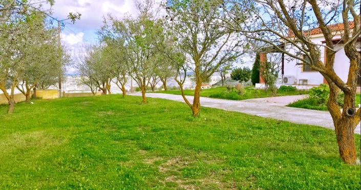 Image No.6-3 Bed House for sale