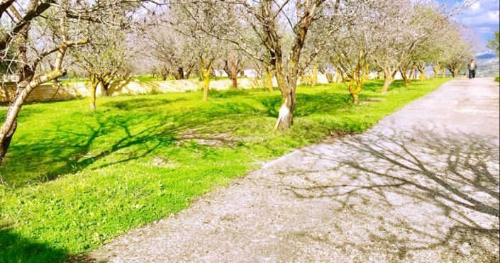 Image No.9-3 Bed House for sale