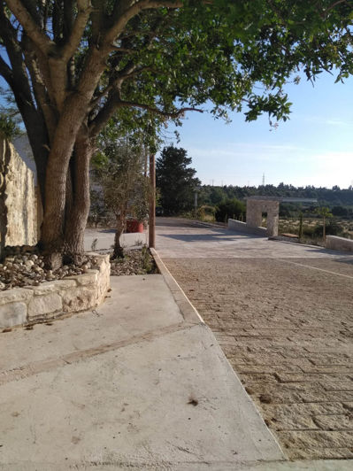 Image No.21-Land for sale