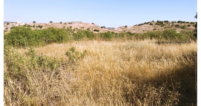 Image No.2-Land for sale