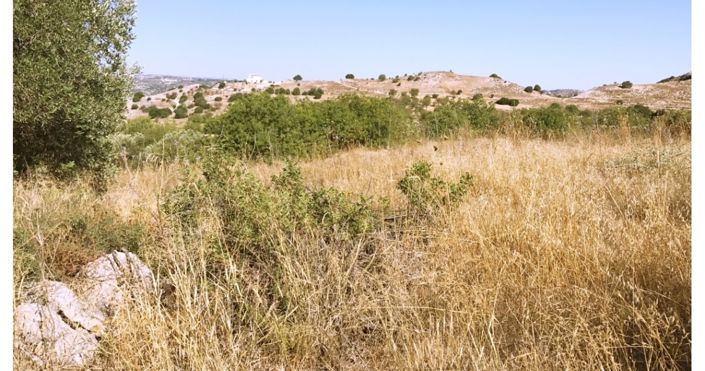 Image No.3-Land for sale