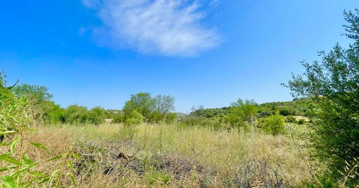 Image No.2-Land for sale