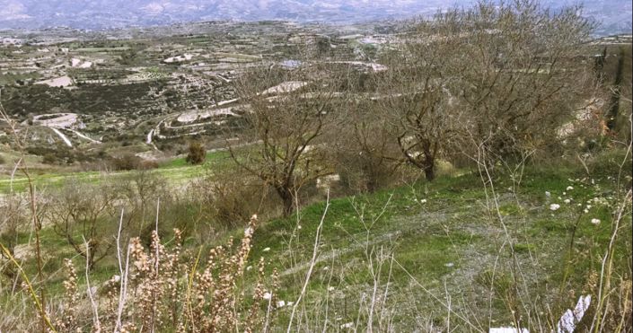 Image No.2-Terre à vendre à Paphos