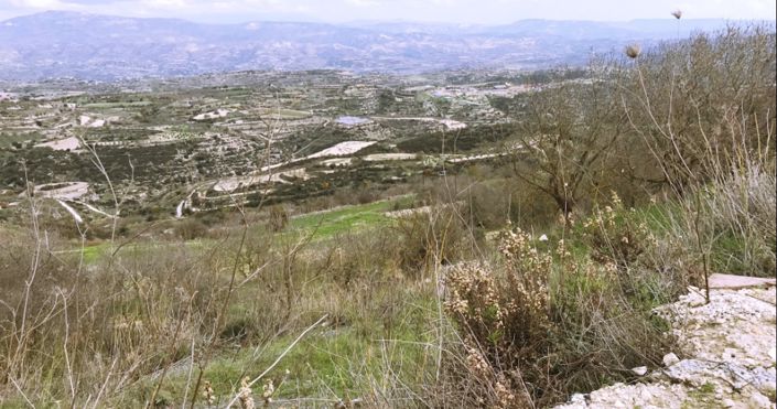 Image No.3-Terre à vendre à Paphos