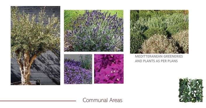 Image No.12-1 Bed Apartment for sale