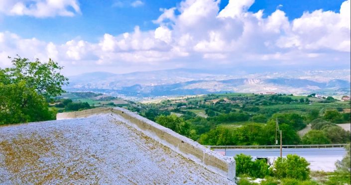 Image No.4-5 Bed House for sale