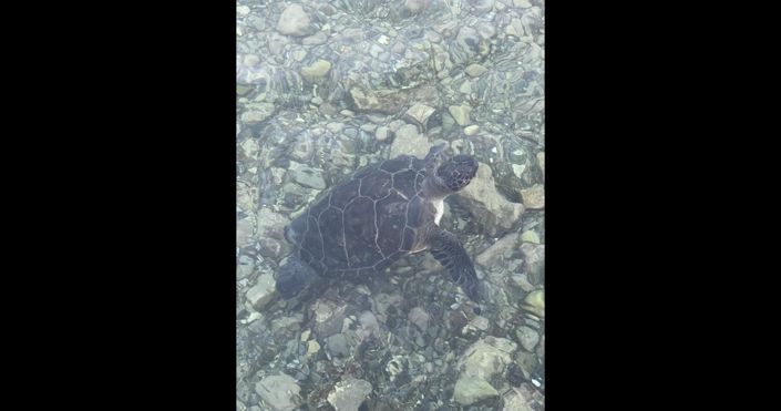 Image No.2-Land for sale