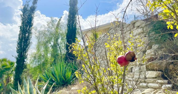 Image No.24-3 Bed House for sale