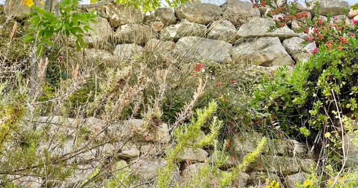 Image No.28-3 Bed House for sale