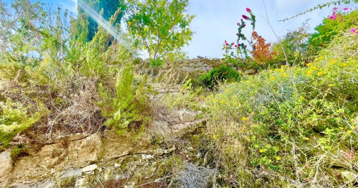 Image No.31-3 Bed House for sale