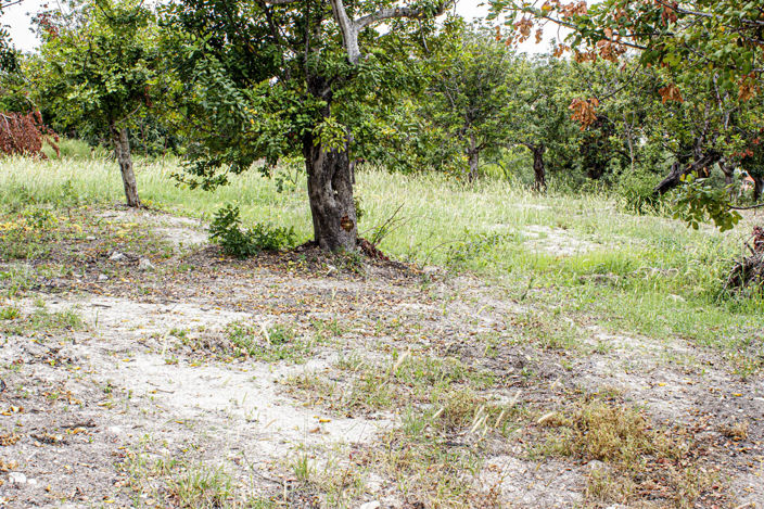 Image No.6-Maison de 3 chambres à vendre à Paphos