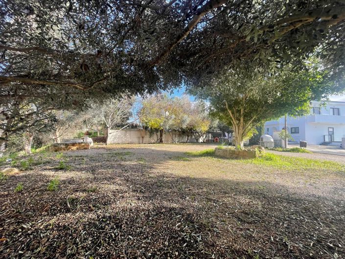 Image No.2-Terre à vendre à Paphos