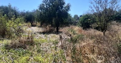 1 - Paphos, Terre