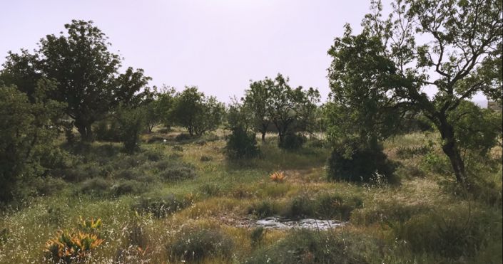 Image No.9-Land for sale