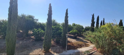 new-ready-apartments-for-sale-paphos-cyprus18