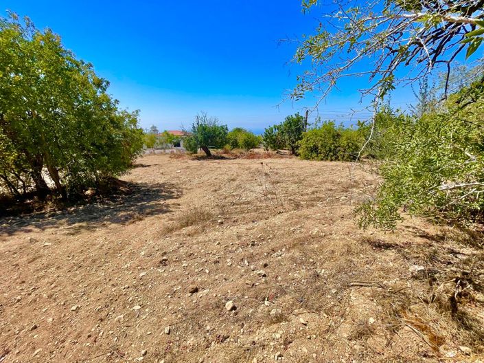 Image No.2-Land for sale