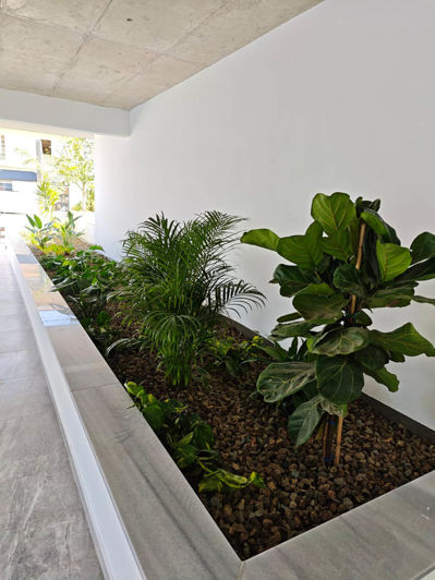 Image No.3-2 Bed Apartment for sale