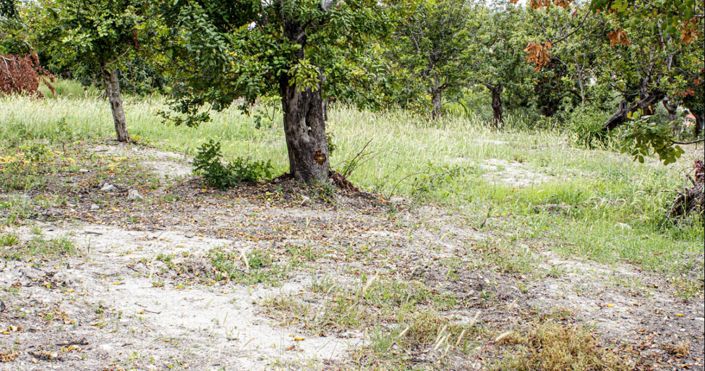 Image No.6-3 Bed House for sale