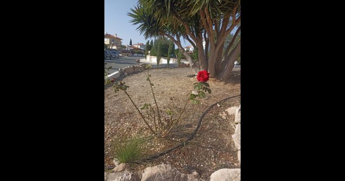Image No.14-Maison de 3 chambres à vendre à Chypre
