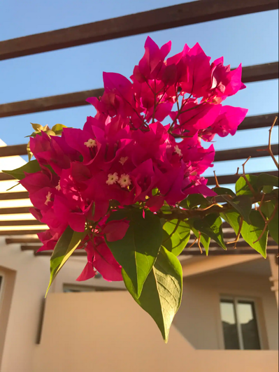 Image No.9-Appartement de 3 chambres à vendre à Paphos