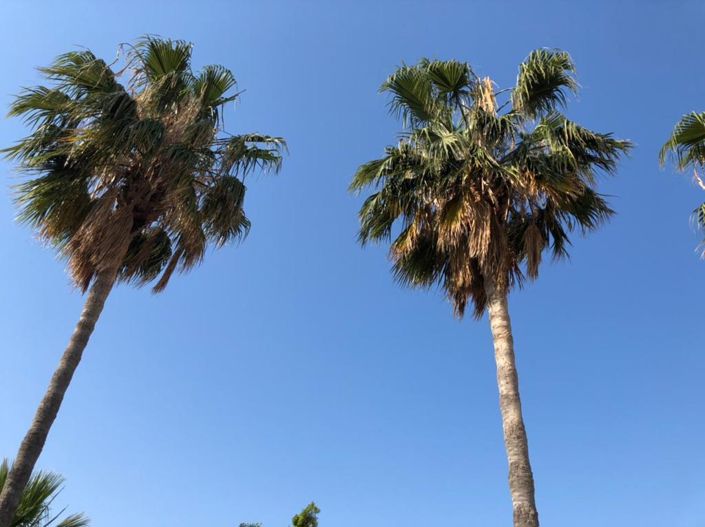 Image No.3-Maison de 2 chambres à vendre à Paphos