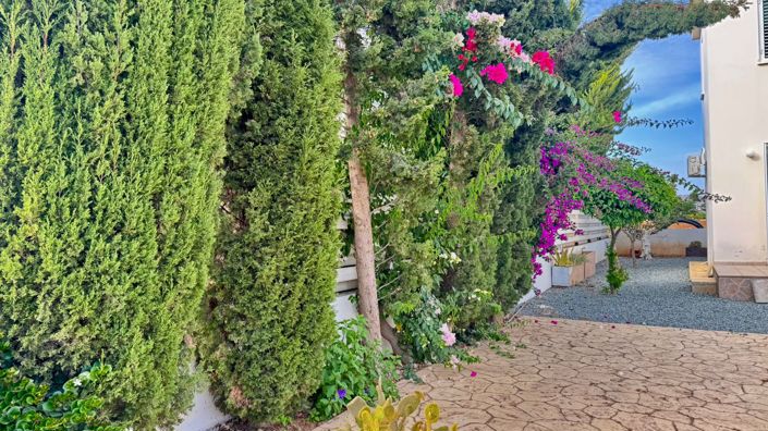 Image No.26-3 Bed House for sale