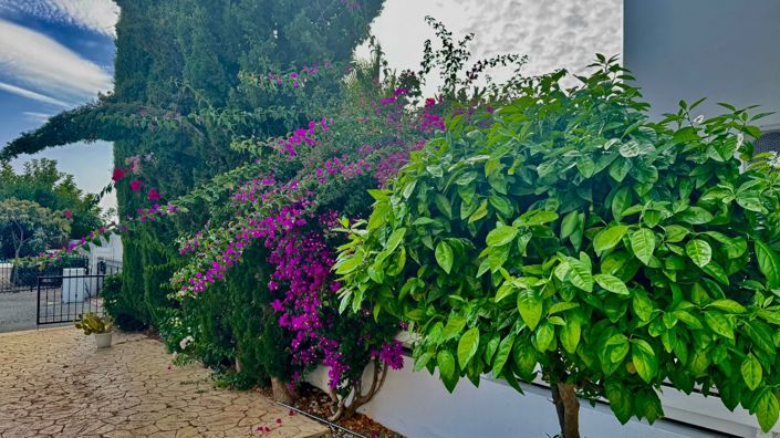 Image No.27-3 Bed House for sale