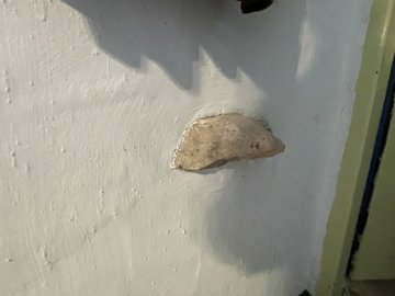 0a55728a-8f45-41d2-8cda-6b1a30963ad1