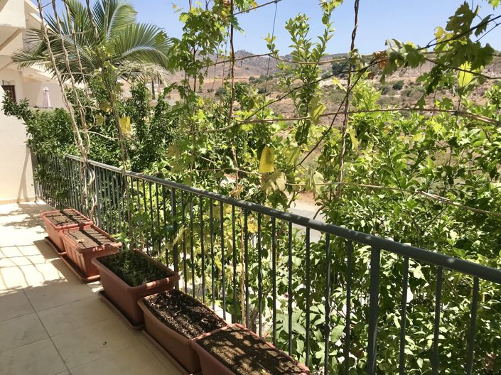 Image No.11-3 Bed House for sale