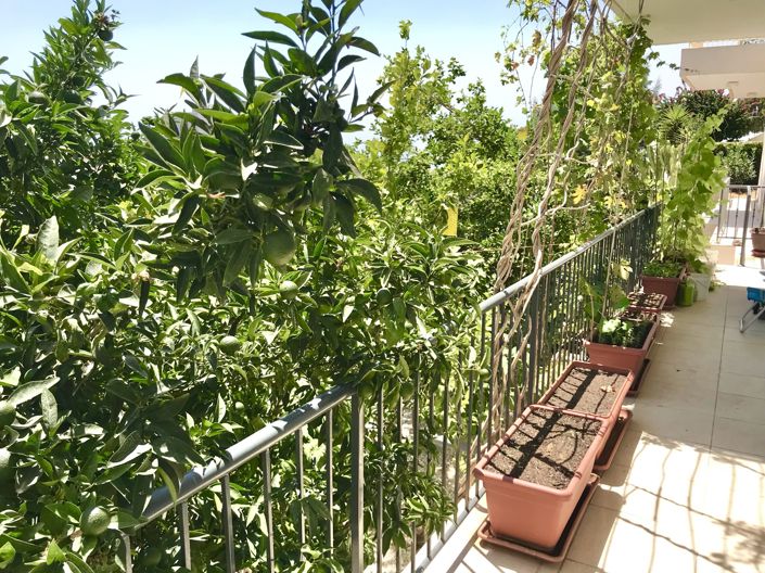 Image No.12-3 Bed House for sale