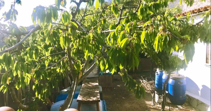 Image No.24-Maison de 2 chambres à vendre à Paphos