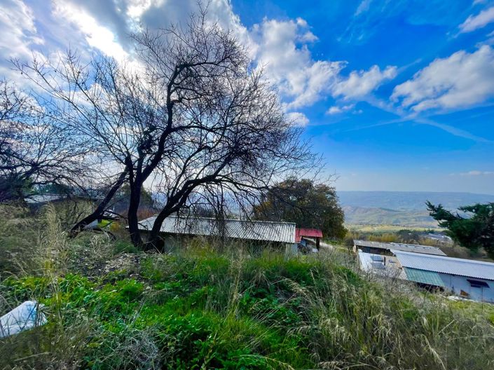 Image No.5-Maison de 2 chambres à vendre à Polis