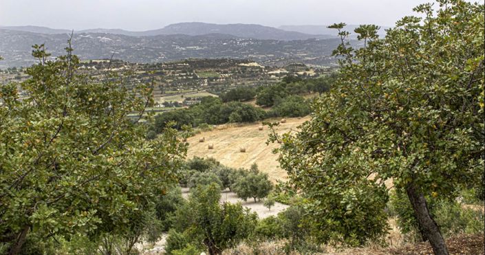 Image No.9-3 Bed House for sale