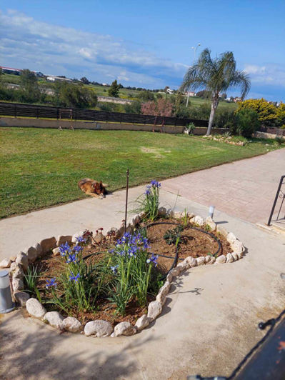 Image No.5-3 Bed House for sale