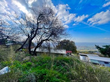 house-for-total-renovation-polis-cyprus-stato