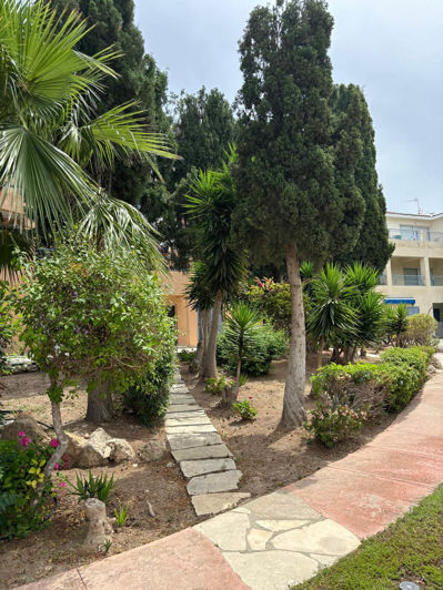 Image No.3-1 Bed Apartment for sale