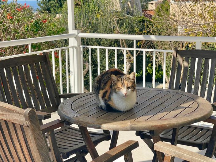 Image No.9-3 Bed House for sale