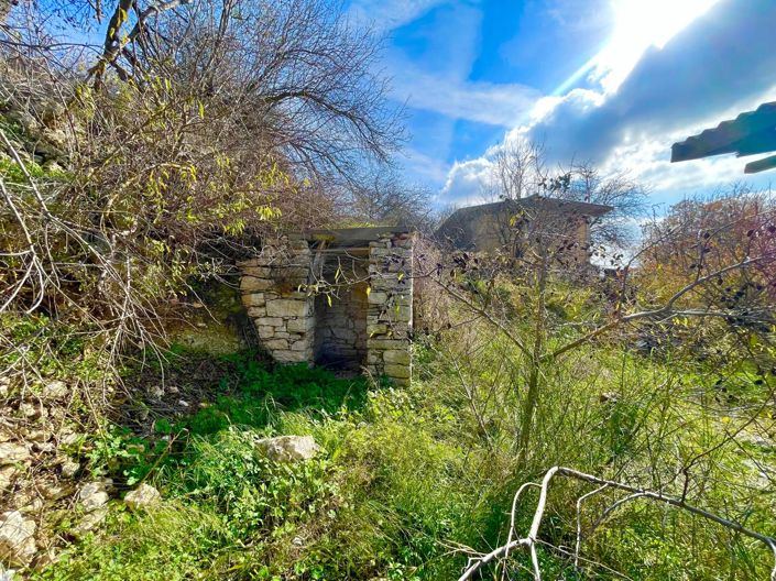 Image No.8-Maison de 2 chambres à vendre à Paphos