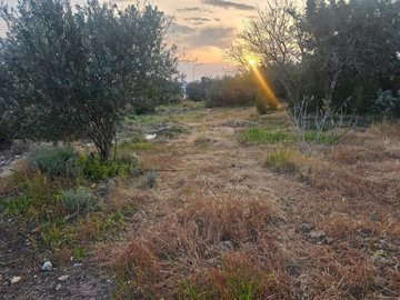 plot-of-land-for-sale-paphos-cyprus6