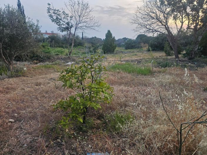 Image No.6-Land for sale